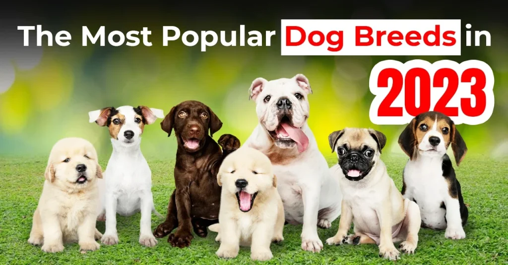 The 20 Most Popular Dog Breeds in 2023