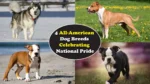 4 All-American Dog Breeds Celebrating National Pride