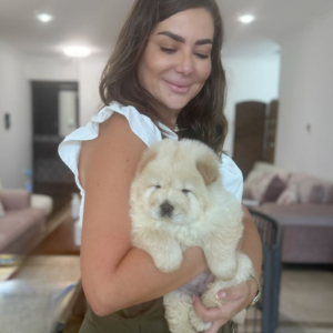 Chow Chow girl