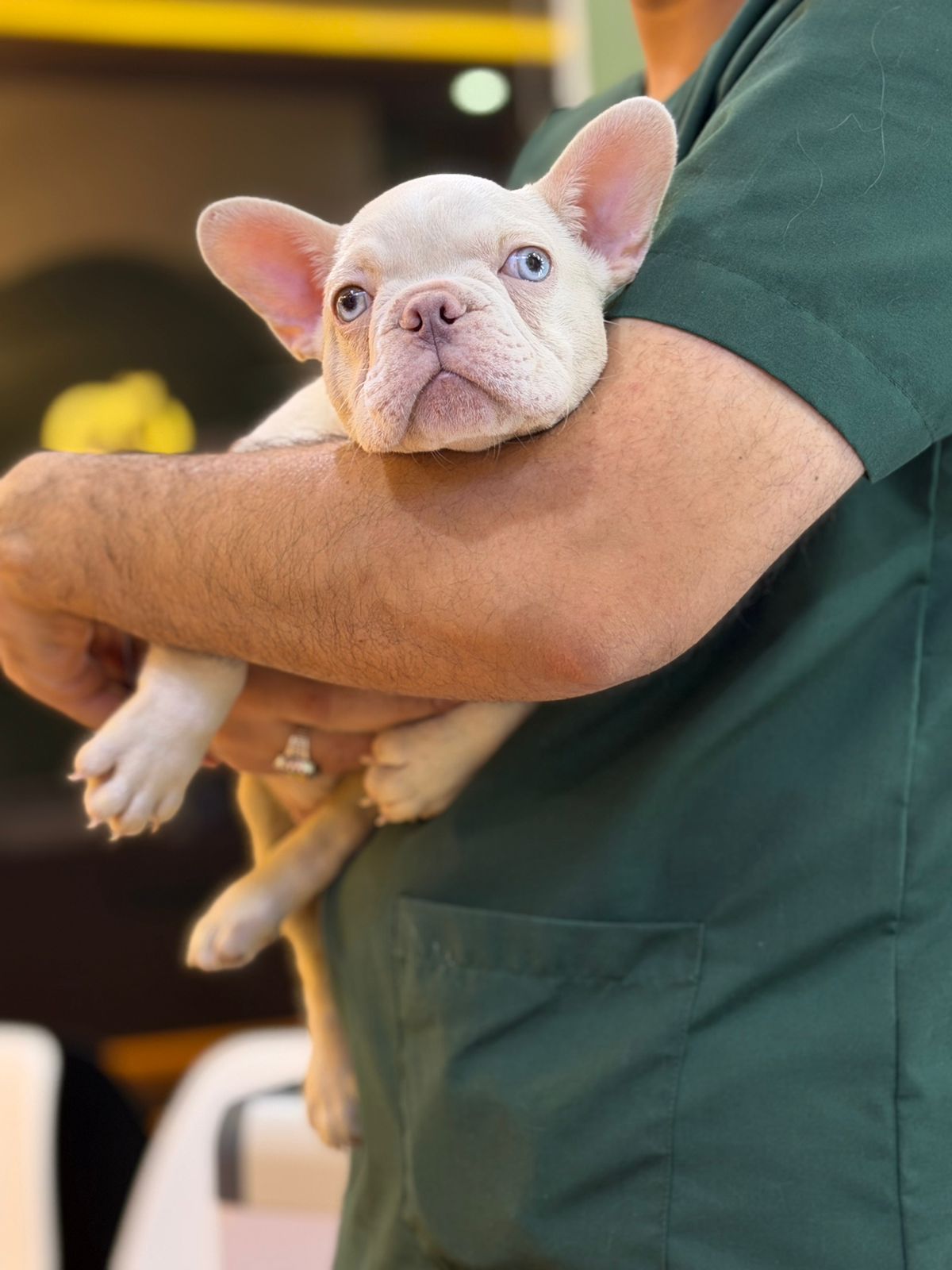 WhatsApp Image 2026-02-10 at 9.46.32 PM