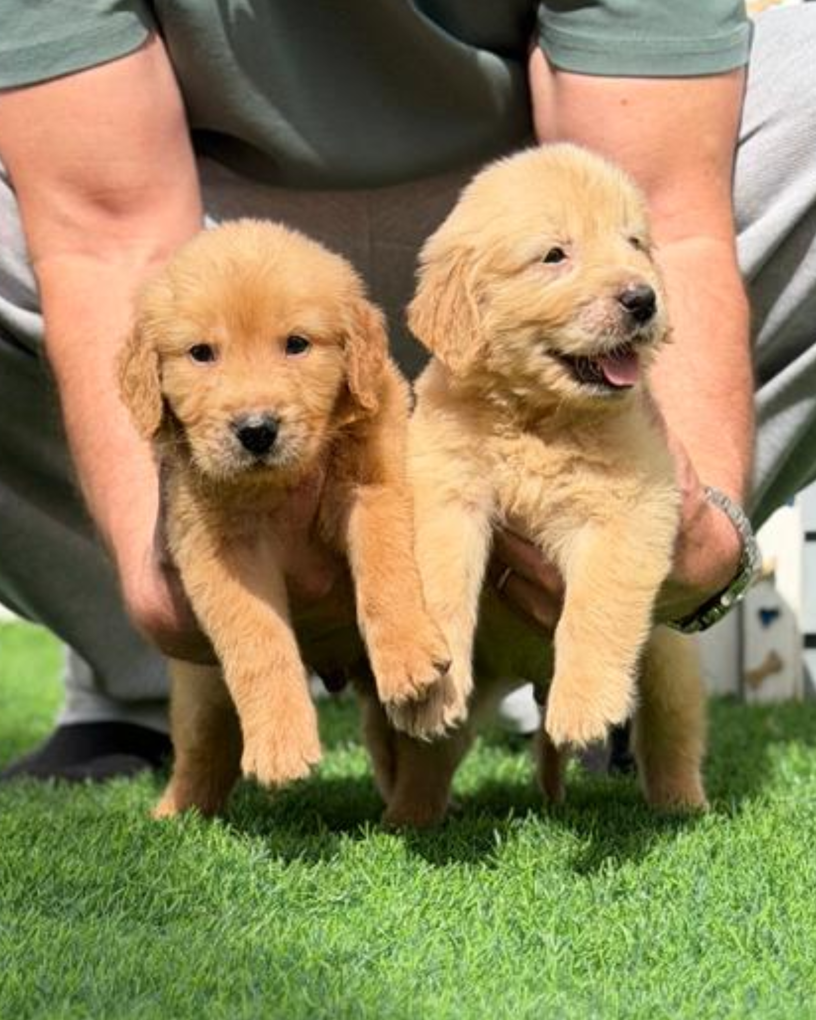 تصميم بدون عنوان - 2026-02-20T162924.143