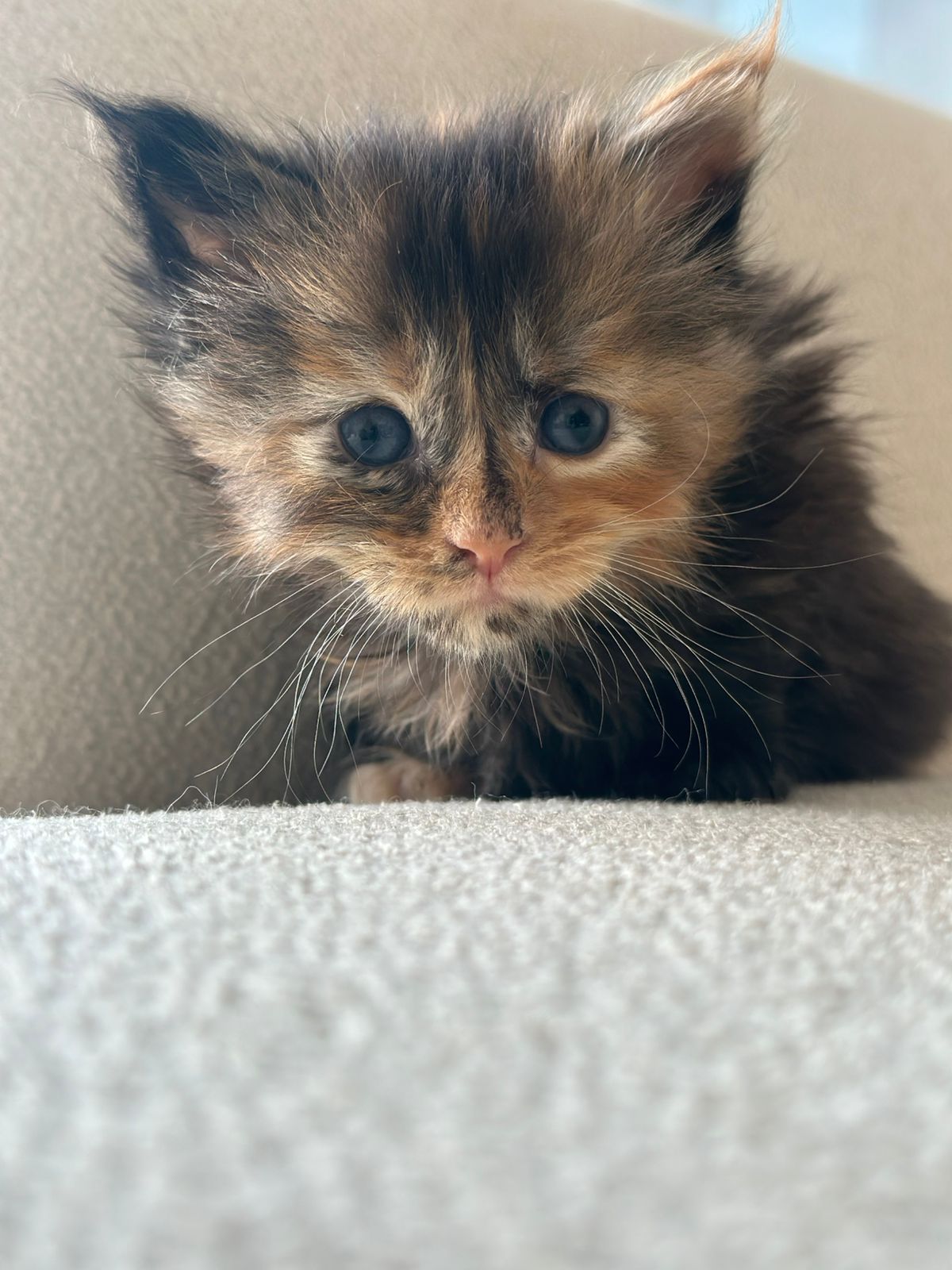 WhatsApp Image 2026-03-13 at 5.43.25 PM