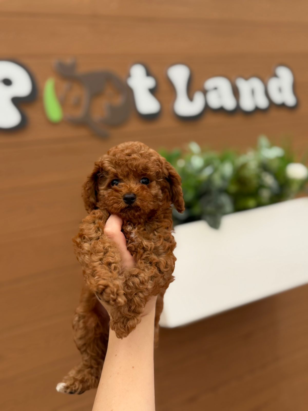 WhatsApp Image 2026-03-27 at 10.30.40 AM (1)