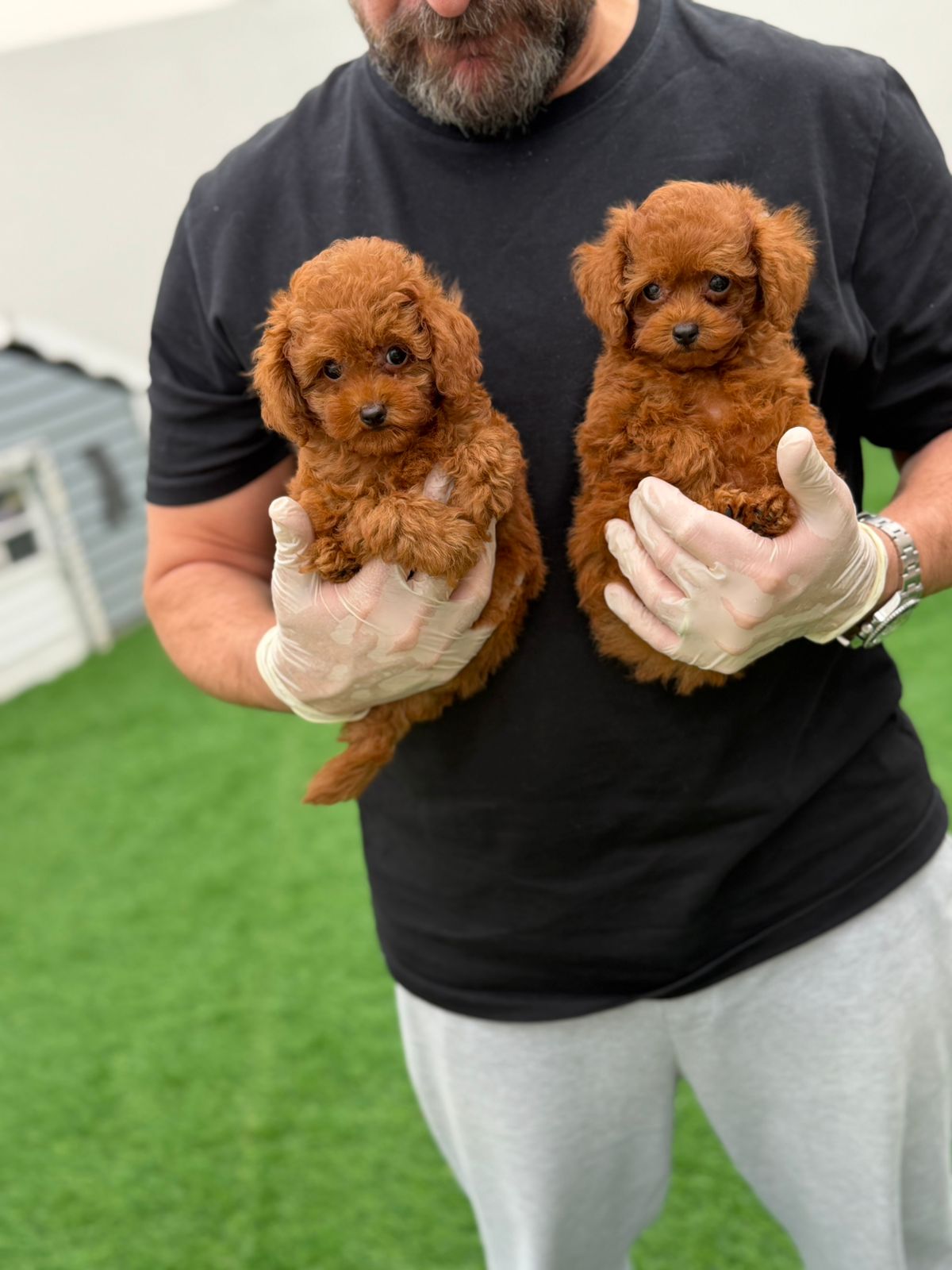 WhatsApp Image 2026-04-09 at 7.48.34 PM (1)