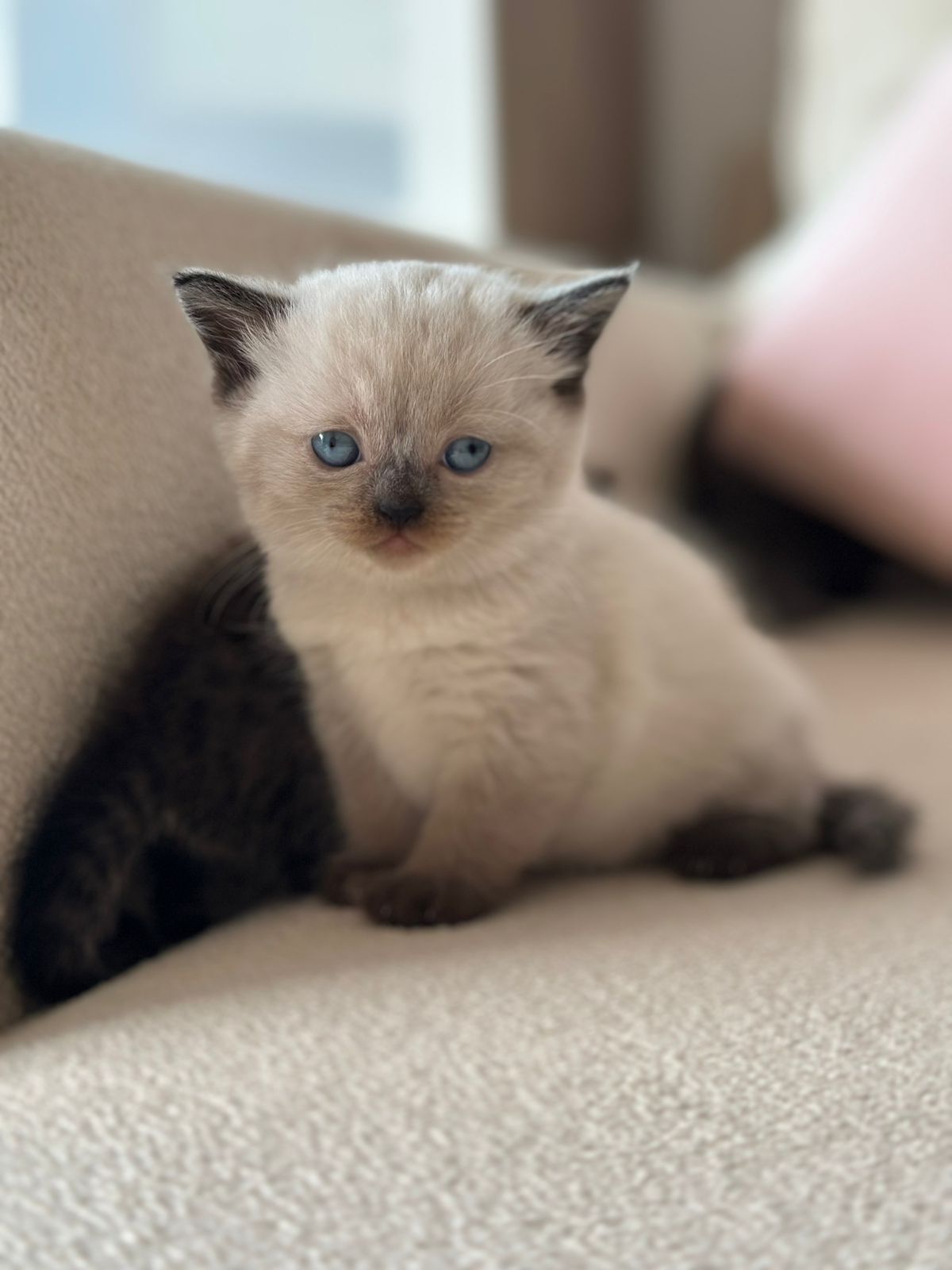 WhatsApp Image 2026-04-13 at 7.34.53 PM (1)